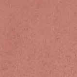 Coral, a real concrete sample