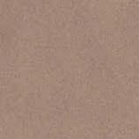 W+R's Plaster colour sample, photographed
