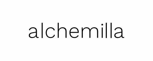 Alchemilla